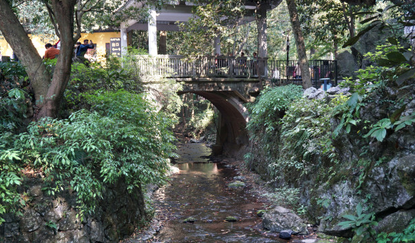 DSC06910