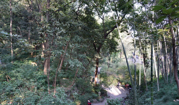 DSC06969
