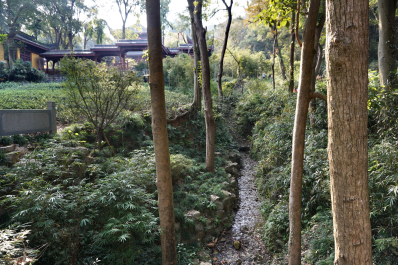 photo 1775172