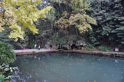 photo 1775378