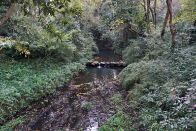 photo 1775664