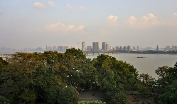DSC07019
