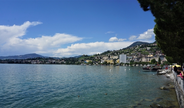 DSC09505