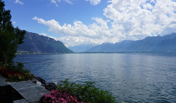 DSC09518