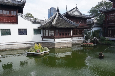 photo 1807411