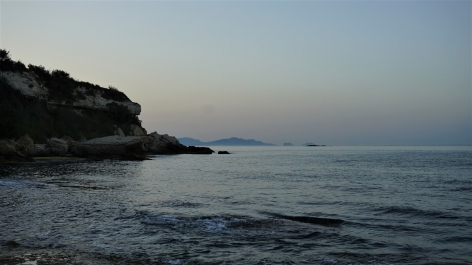 photo 1838333