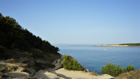 photo 1838616