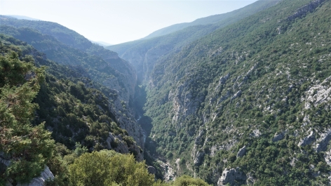 photo 1859899
