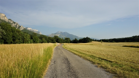 photo 1861317