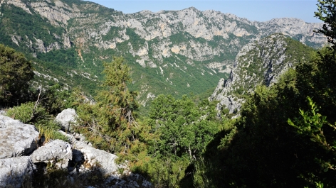 photo 1862001