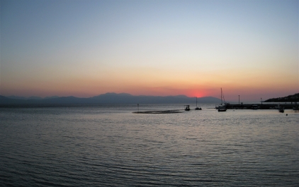 photo 1869749
