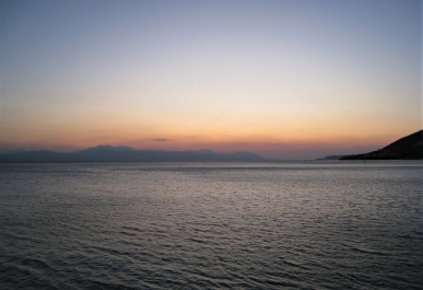 photo 1871340
