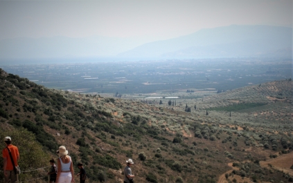 photo 1877966