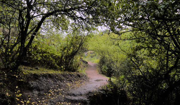 DSC01417