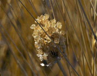 photo 2047573