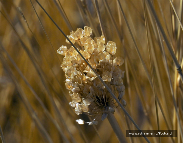photo 2047573