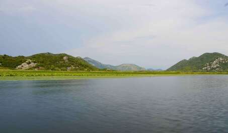 photo 2134328