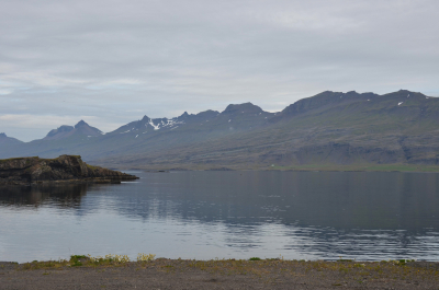 photo 1836815
