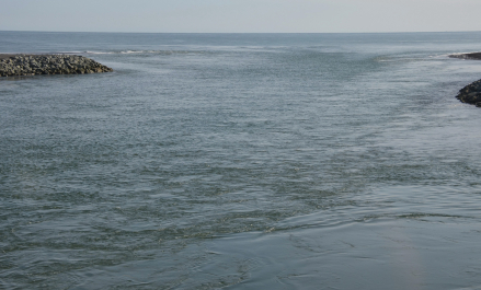 photo 1837878