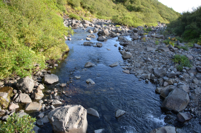 photo 1838226