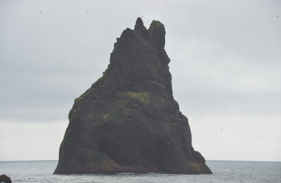 photo 1851765