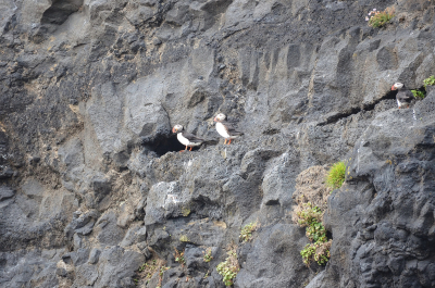 photo 1852204