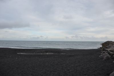photo 1855403