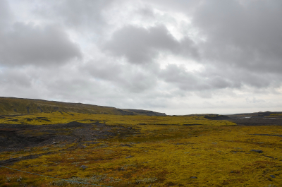 photo 1855450