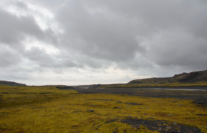photo 1855451