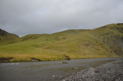 photo 1855462