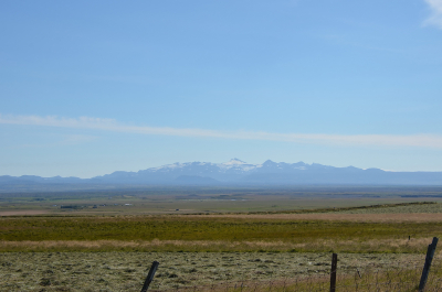 photo 1858513