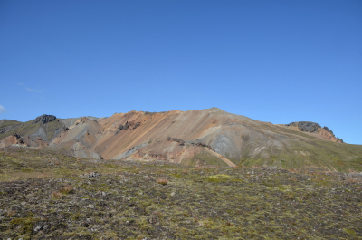 photo 1859219