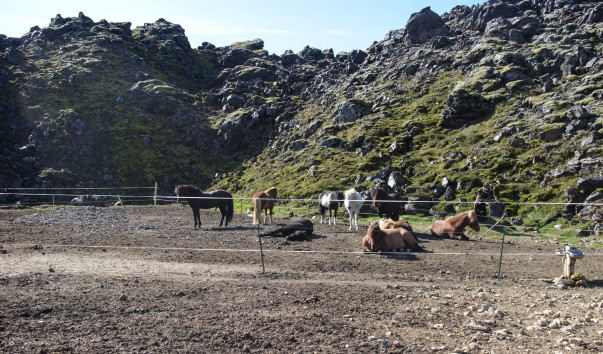 2014.08.18 1330 Landmannalaugar