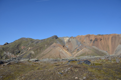 photo 1859732