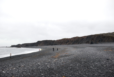 photo 1860303