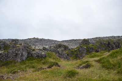 photo 1860305