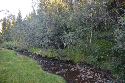 photo 1861484