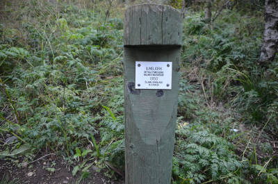 photo 1861485