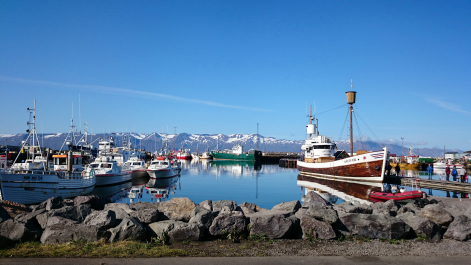 photo 1863459