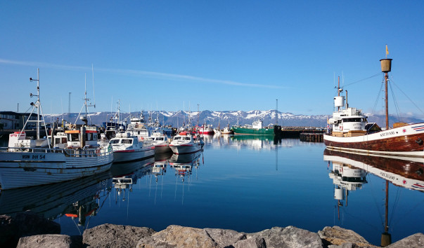 2014.08.22 0721 Husavik