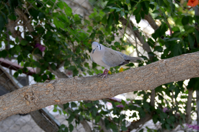 photo 2082065