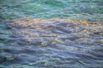 photo 2082375