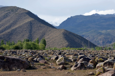 photo 2077993