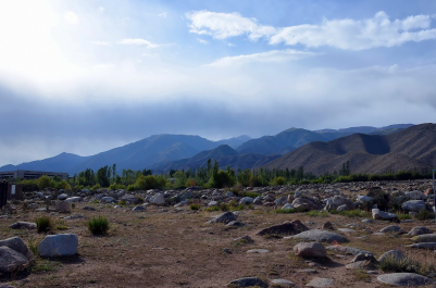 photo 2077994
