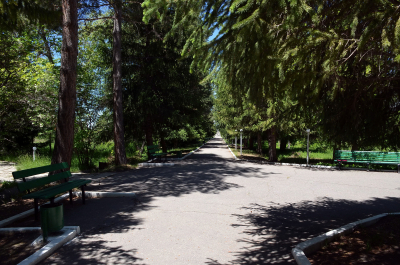 photo 2078599
