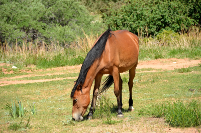 photo 2078765