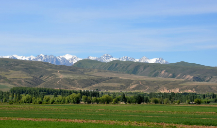 photo 2078886