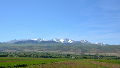 photo 2078919