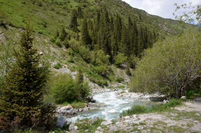 photo 2079083