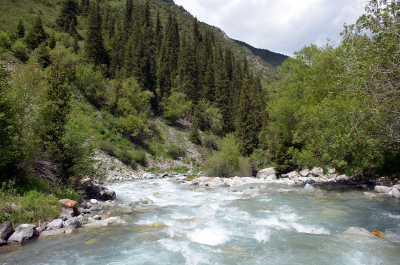 photo 2079357